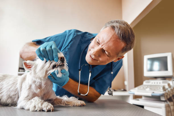 Best Emergency Wisdom Teeth Removal in Labasas, CA